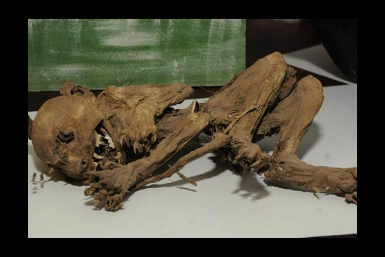 Las 10 criaturas místicas y fantasmales que se cree hay en México
