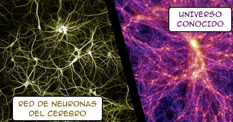El UNIVERSO: ¿Podría ser una entidad con vida? El UNIVERSO: ¿Podría ser una entidad con vida?
