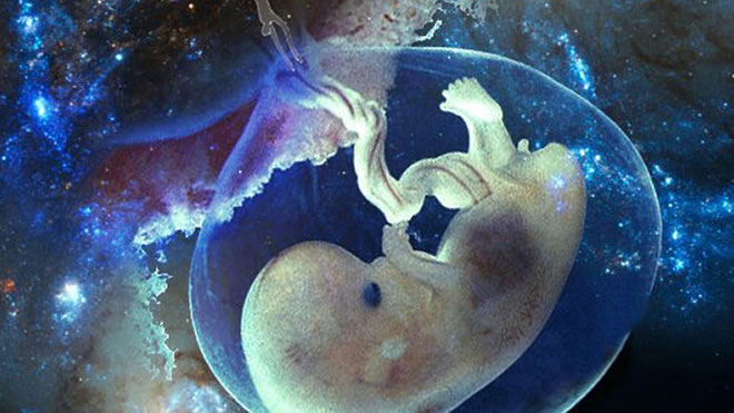 El UNIVERSO: ¿Podría ser una entidad con vida? El UNIVERSO: ¿Podría ser una entidad con vida?