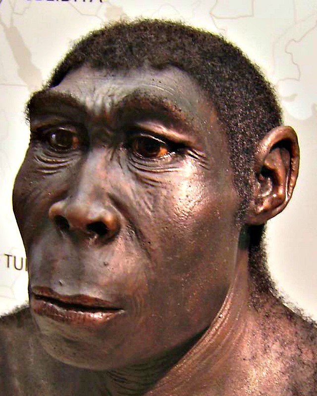 Los Anunnaki y la historia prohibida del origen de la Humanidad Los Anunnaki y la historia prohibida del origen de la Humanidad