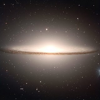 Asi sera la tierra sin humanos