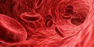 De los dioses y la sangre