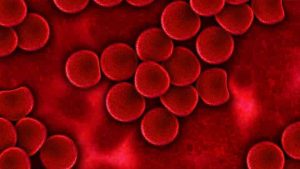 De los dioses y la sangre