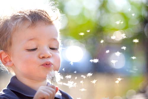 Semillas estelares: Conoce los Niños indigo, cristal y arco Iris