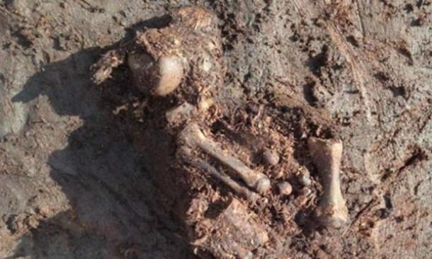 en irlanda se encuentra un cuerpo con probalidad de ser un sacrificio de la edad de hierro en irlanda se encuentra un cuerpo con probalidad de ser un sacrificio de la edad de hierro