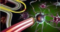 Nanosondas prometen un salto para hacer realidad el ciborg Nanosondas prometen un salto para hacer realidad el ciborg