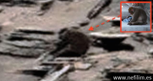 Sorprendente! Hallan un Mono sobre la superficie de una roca en Marte!