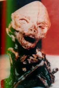 Un Cuerpo Extraterrestre encontrado en Puerto Rico