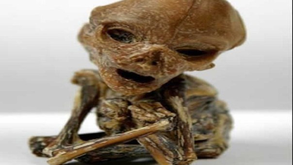 Un Cuerpo Extraterrestre encontrado en Puerto Rico