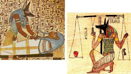 Anubis