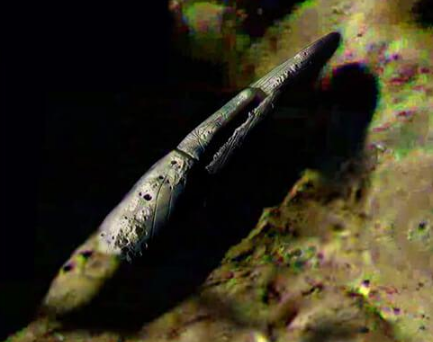 Apolo 20 y la momia extraterrestre hallada en la nave espacial “Mona Lisa”.
