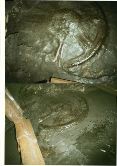 Hallan misterioso fósil de rueda en una mina de carbón que data de hace 300 millones de años