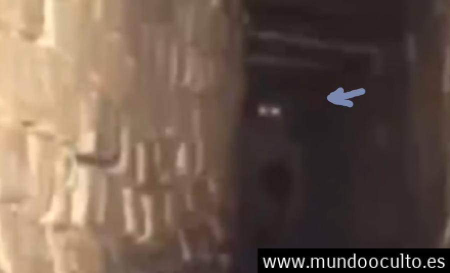 LOS DEMONIOS DE LA CUARTA DIMENSIÓN