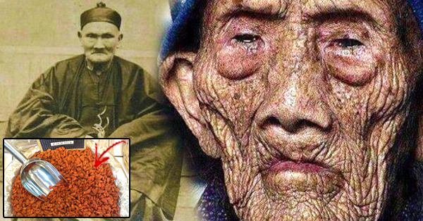 El Misterio de la Longevidad en el Pasado: ¿Existió Gente con más de 200 años? El Misterio de la Longevidad en el Pasado: ¿Existió Gente con más de 200 años?