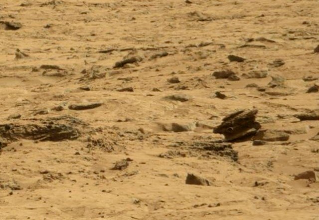MARTE, Ruinas antiguas, fósiles, jeroglíficos y formas de vida fotografiados por NASA Rovers