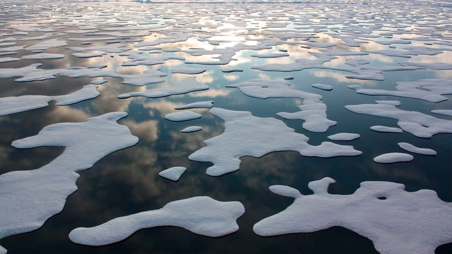 Los científicos ponen fecha a un Ártico libre de hielo: a partir de 2044