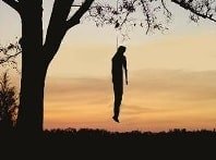 EL ÁRBOL DE LA NIÑA