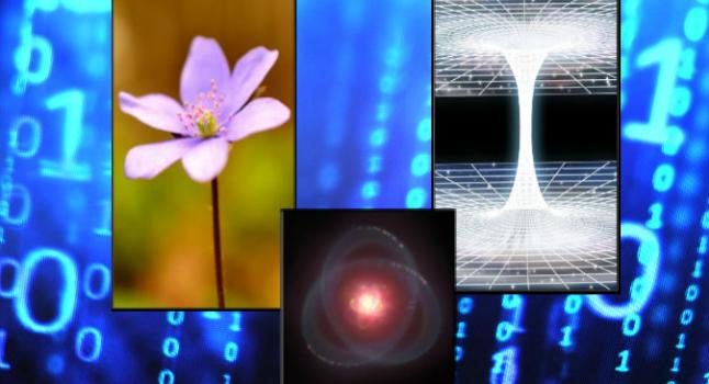 Podríamos estar viviendo en la Matrix, comenta ingeniero