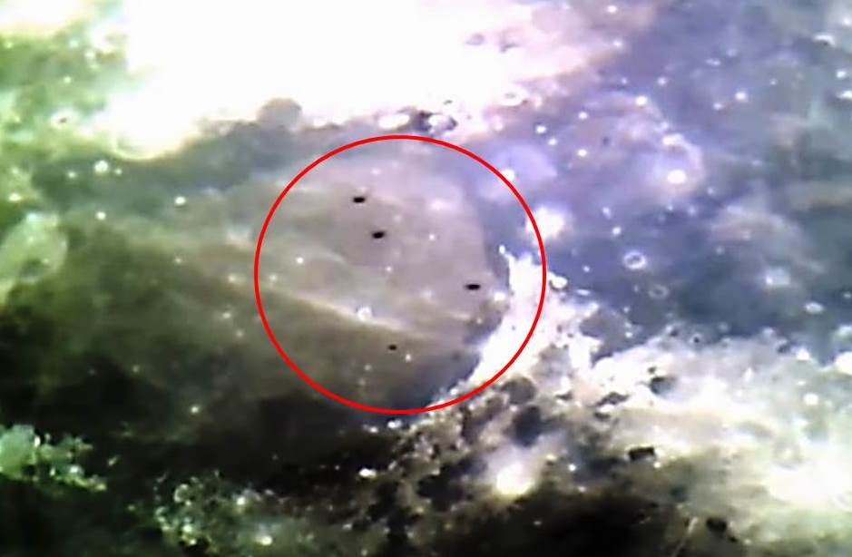 Ex consultor de la NASA: "Los extraterrestres están aquí en la Tierra, en la Luna y en nuestro Sistema Solar" 18
