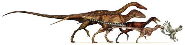 los-dinosaurios-no-se-extinguieron-son-las-aves-de-la-actualidad-su-genoma-lo-confirma.jpg