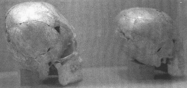 La realidad de una civilización de gigantes perdida ocultada por la élite La realidad de una civilización de gigantes perdida ocultada por la élite