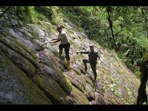 Pirámides en Venezuela: origen e historia oculta