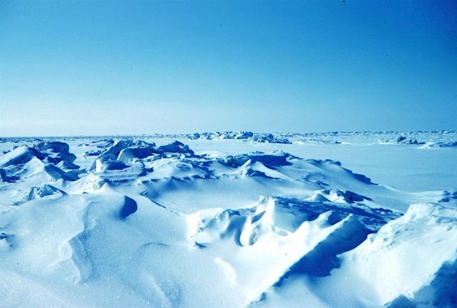 Una vista de la banquisa de Alaska. Tal vez así era toda la superficie de la Tierra durante la edad de hielo conocida como Tierra Bola de Nieve.