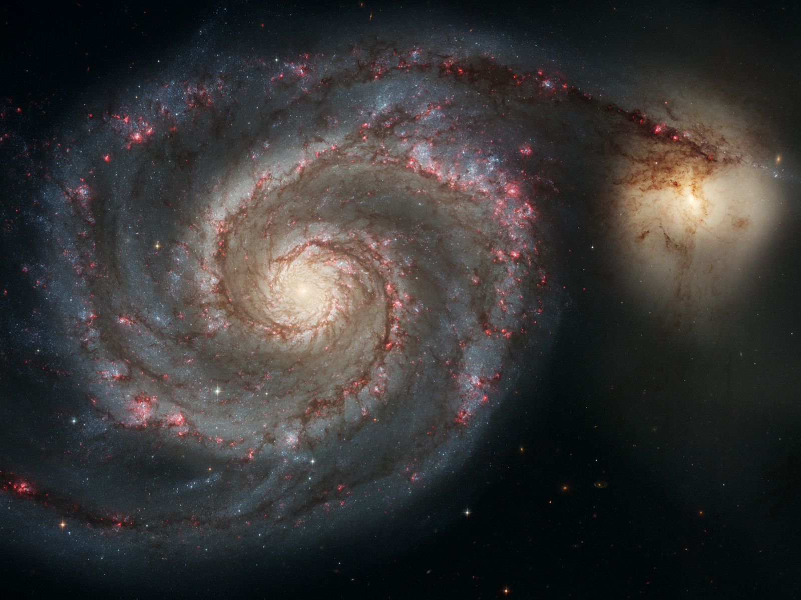 Whirlpool Galaxy M51 y compañero de Hubble