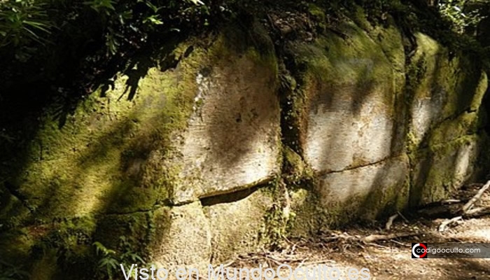Muro de Kaimanawa: antigua estructura de piedra hallada en medio de la jungla