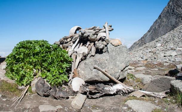 Esqueletos humanos en Roopkund Lake, también conocido como Skeleton Lake. (Schwiki / CC BY SA 4.0)
