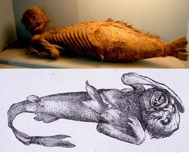 [Arriba] Fiji Mermaid, en la sección Folklore de la Haus der Natur (Casa de la Naturaleza), una colección de historia natural en Salzburgo, Austria. (CC BY-NC-SA 2.0 ) [Abajo] PT Barnums Feejee sirena (dominio público)
