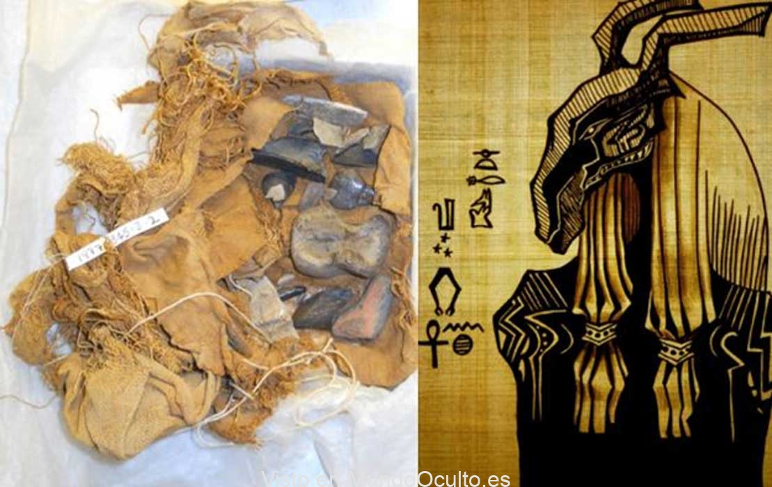 Huesos Negros de Seth: antiguos egipcios recolectaron y veneraron fósiles hace miles de años