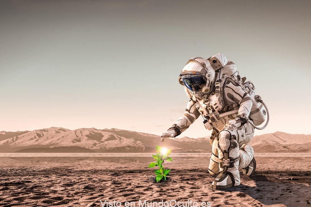 La vida puede estar esparcida por el planeta Marte, dice un experto