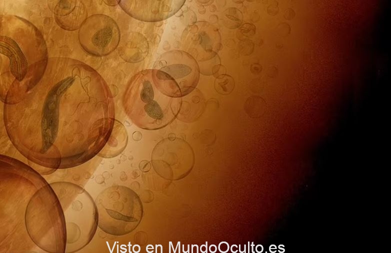 Formas de vida “extraterrestres” diferentes a todo lo visto podrían vivir en nubes de Venus, afirma estudio Formas de vida “extraterrestres” diferentes a todo lo visto podrían vivir en nubes de Venus, afirma estudio