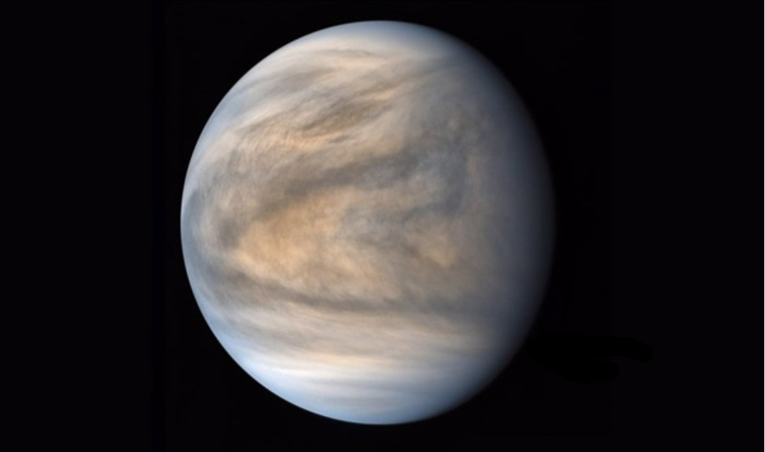 Formas de vida “extraterrestres” diferentes a todo lo visto podrían vivir en nubes de Venus, afirma estudio