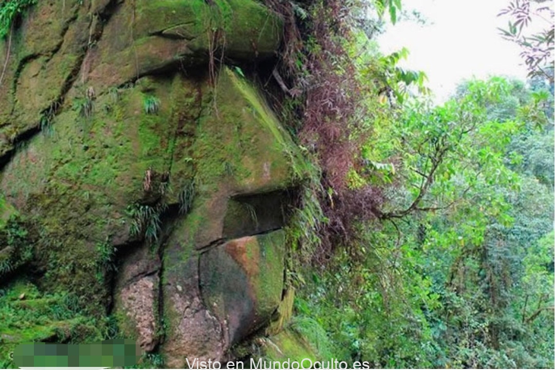 El enorme rostro humano hallado en la selva amazónica