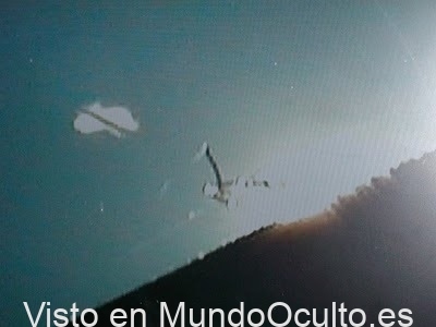 ENTIDADES BIOLÓGICAS AÉREAS NO IDENTIFICADAS ENTIDADES BIOLÓGICAS AÉREAS NO IDENTIFICADAS