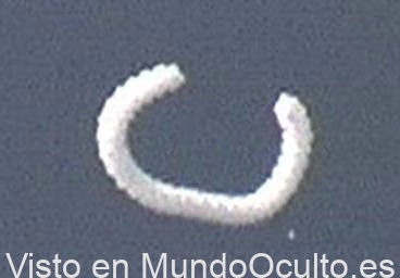 ENTIDADES BIOLÓGICAS AÉREAS NO IDENTIFICADAS ENTIDADES BIOLÓGICAS AÉREAS NO IDENTIFICADAS