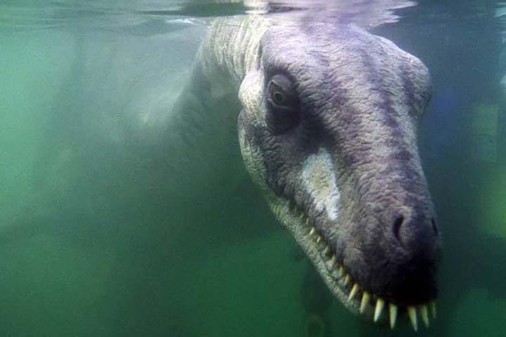 monstruo del lago ness existe - La ciencia reconoce definitivamente que el monstruo del lago Ness existe