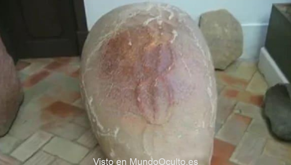 El huevo cósmico del Algarve una creación de otro mundo