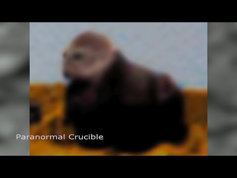 Hominoide híbrido capturado por Mars Spirit Rover