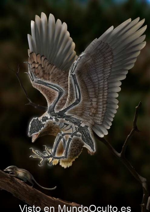 Cabeza de tiranosaurio en cuerpo de ave