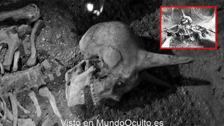 Descubren misterioso «cráneo con cuernos» en un condado de Pensilvania, EE.UU.