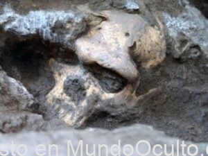 Un cráneo humano de un millón de años ha llevado a los científicos a reconsiderar la evolución humana temprana
