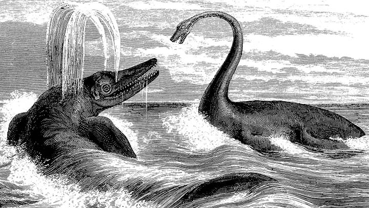 nessie existe anguila - Un matemático confirma que Nessie existe y no es una anguila gigante