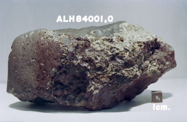 Trozo de roca gris pardusca con marcador de cubo de 1 cm para mostrar el tamaño.