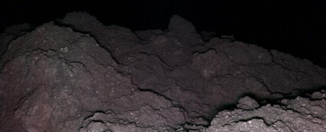 Científicos descubren componente de ARN enterrado en el polvo de un asteroide