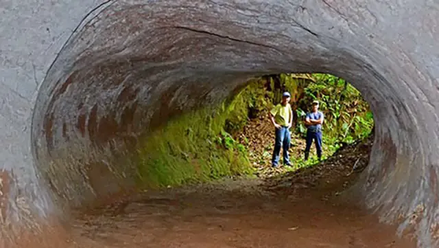 Expertos están perplejos por el descubrimiento de cientos de masivos túneles en Brasil
