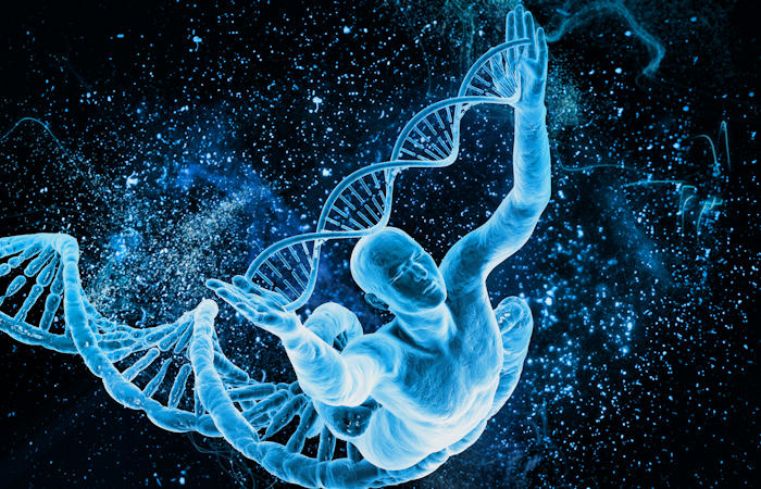 Piezas “eliminadas” de ADN pueden ser lo que nos hizo humanos, dicen los científicos