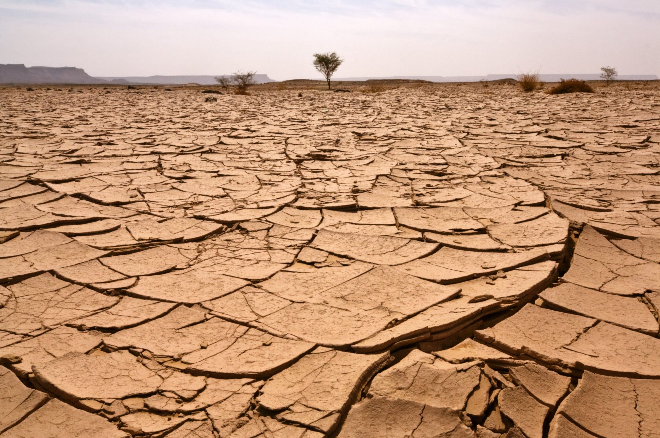 Proponen inundar el desierto del Sahara como solución radical al cambio climático